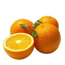 2021 New Crop Fresh Citrus Navel Orange From China For Wholesale